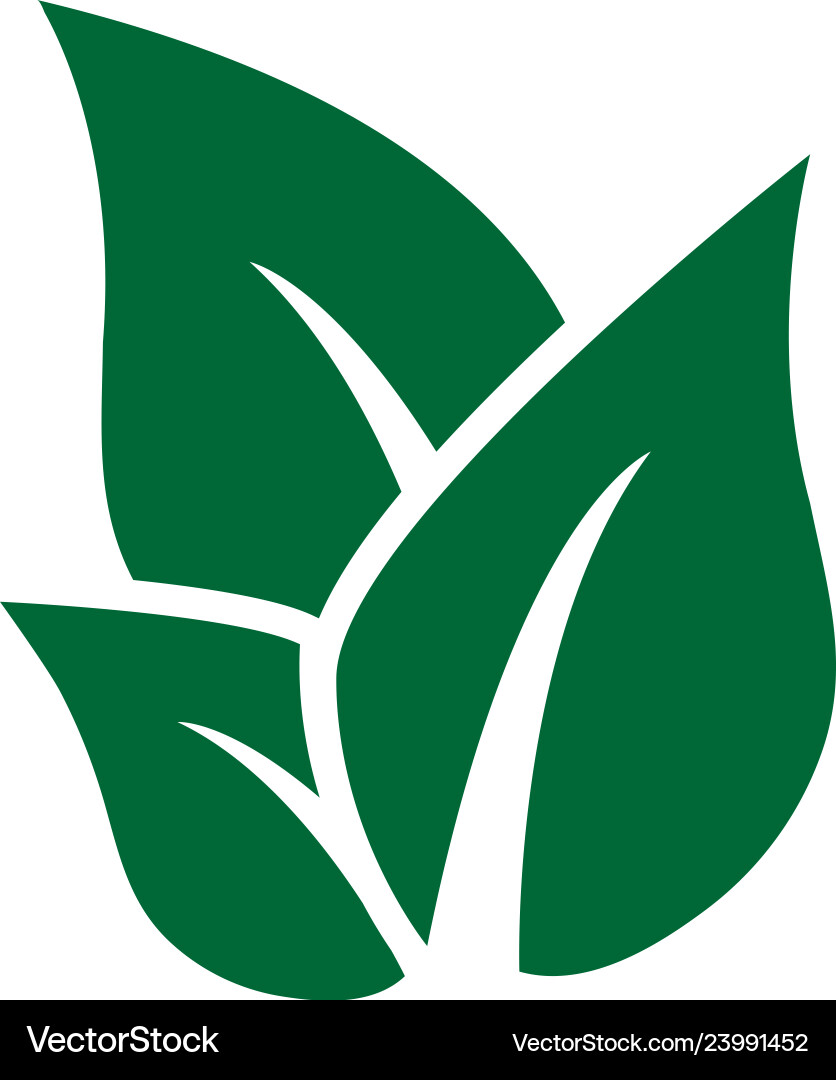 Leaf icon design template isolated Leaf icon design template isolated Vector Image