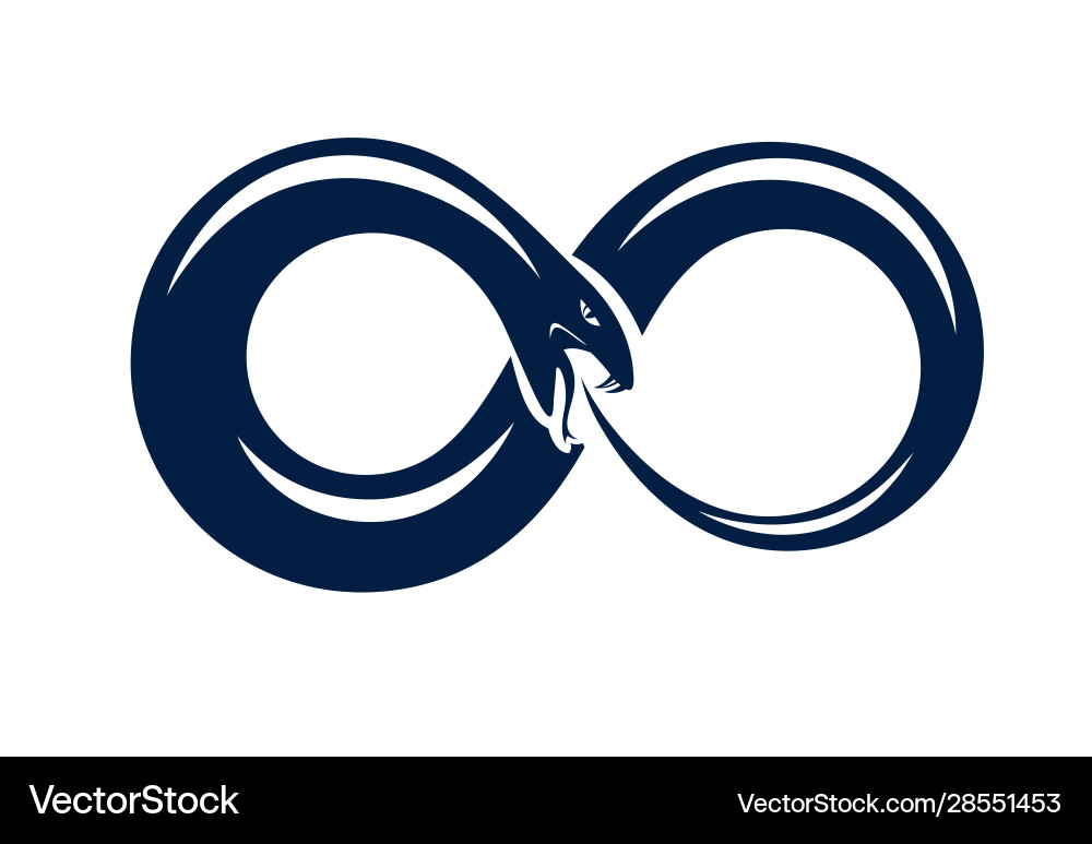 Ouroboros snake in a shape infinity symbol vector image