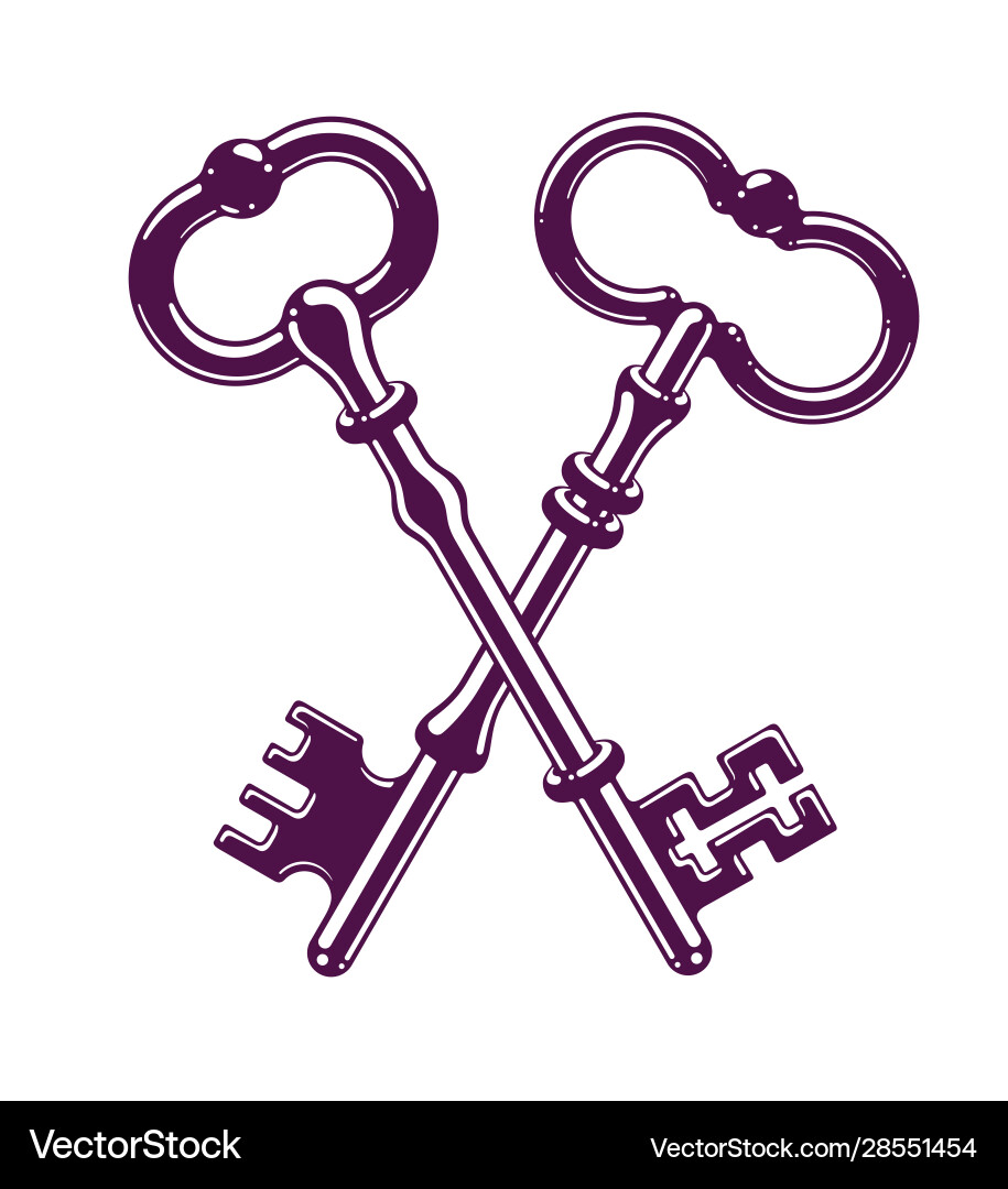 Crossed keys protected secret electronic data Crossed keys protected secret electronic data Vector Image