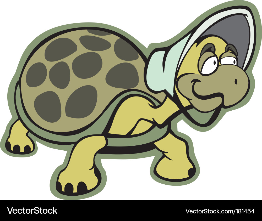 Old turtle Vector Image