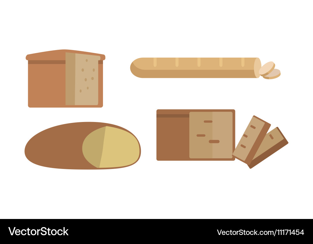 Set of different types bread vector image