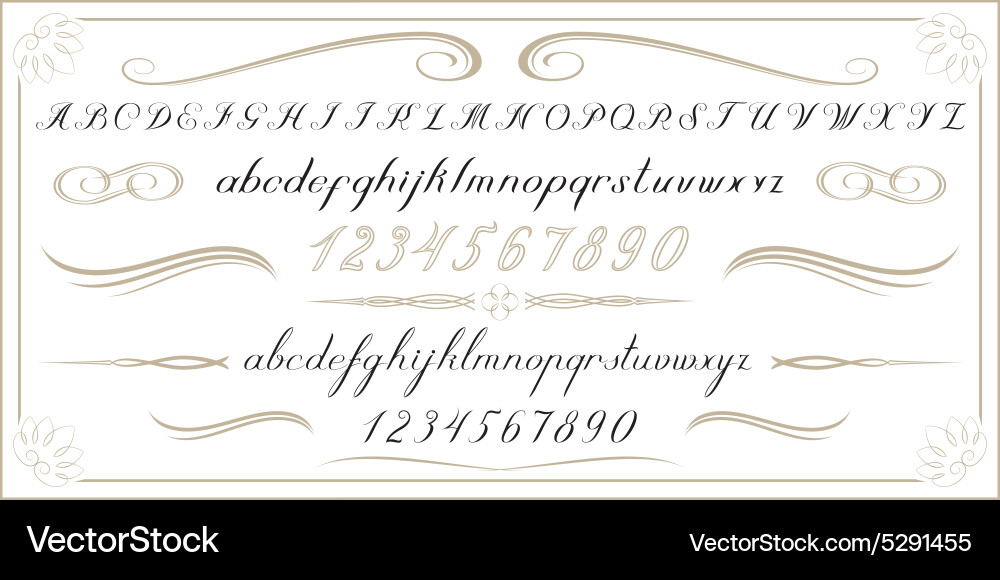 Antique Handwritten Script Letters & Numbers vector image
