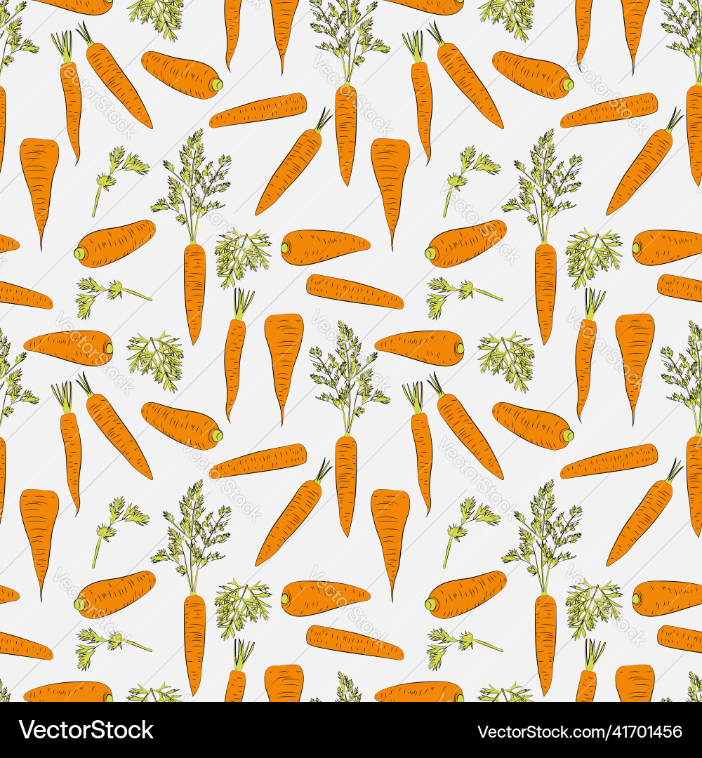 A set of seamless background with carrot line A set of seamless background with carrot line vector image