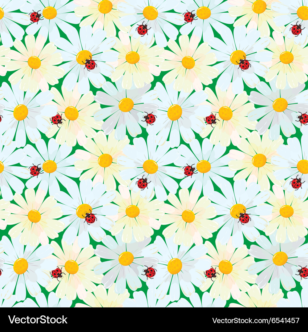 Chamomile Meadow Pattern vector image