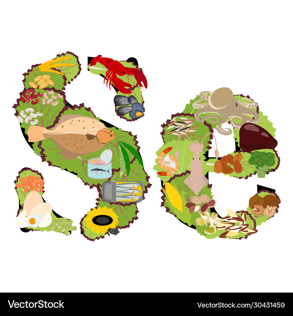 Selenium se microelement in food vector image