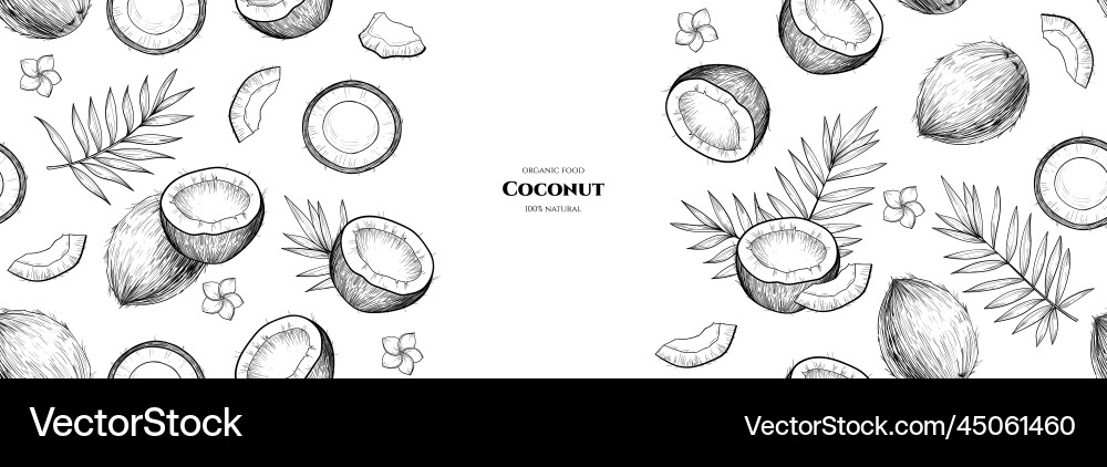 Frame with coconuts seamless pattern vector image