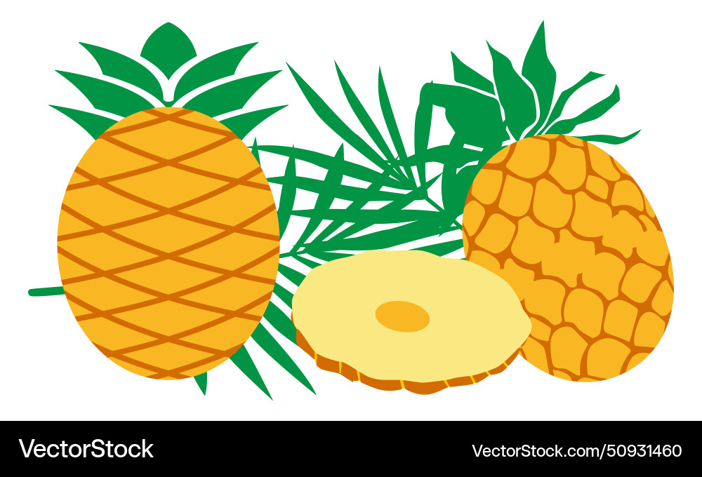 Pineapple design and bundle Pineapple design and bundle Vector Image
