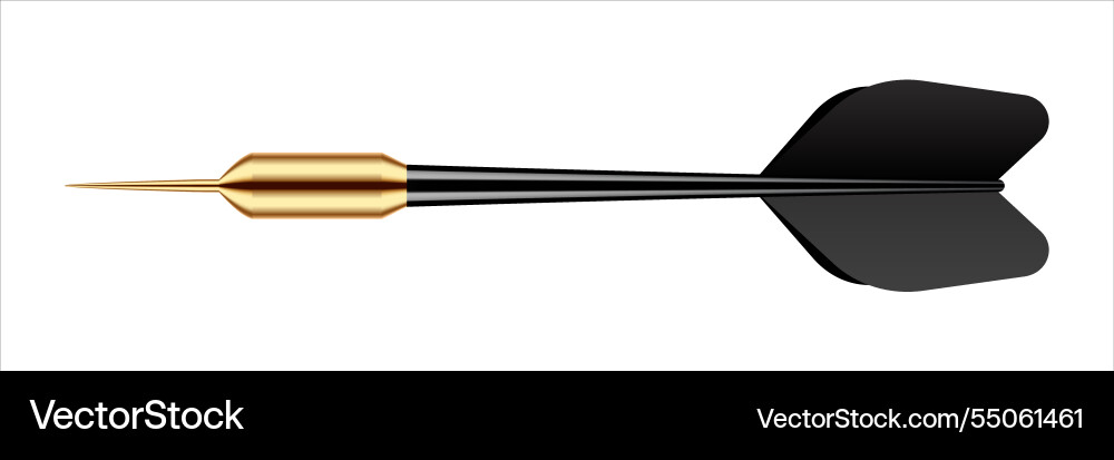Dart arrow with metal tip and shadow Dart arrow with metal tip and shadow vector image