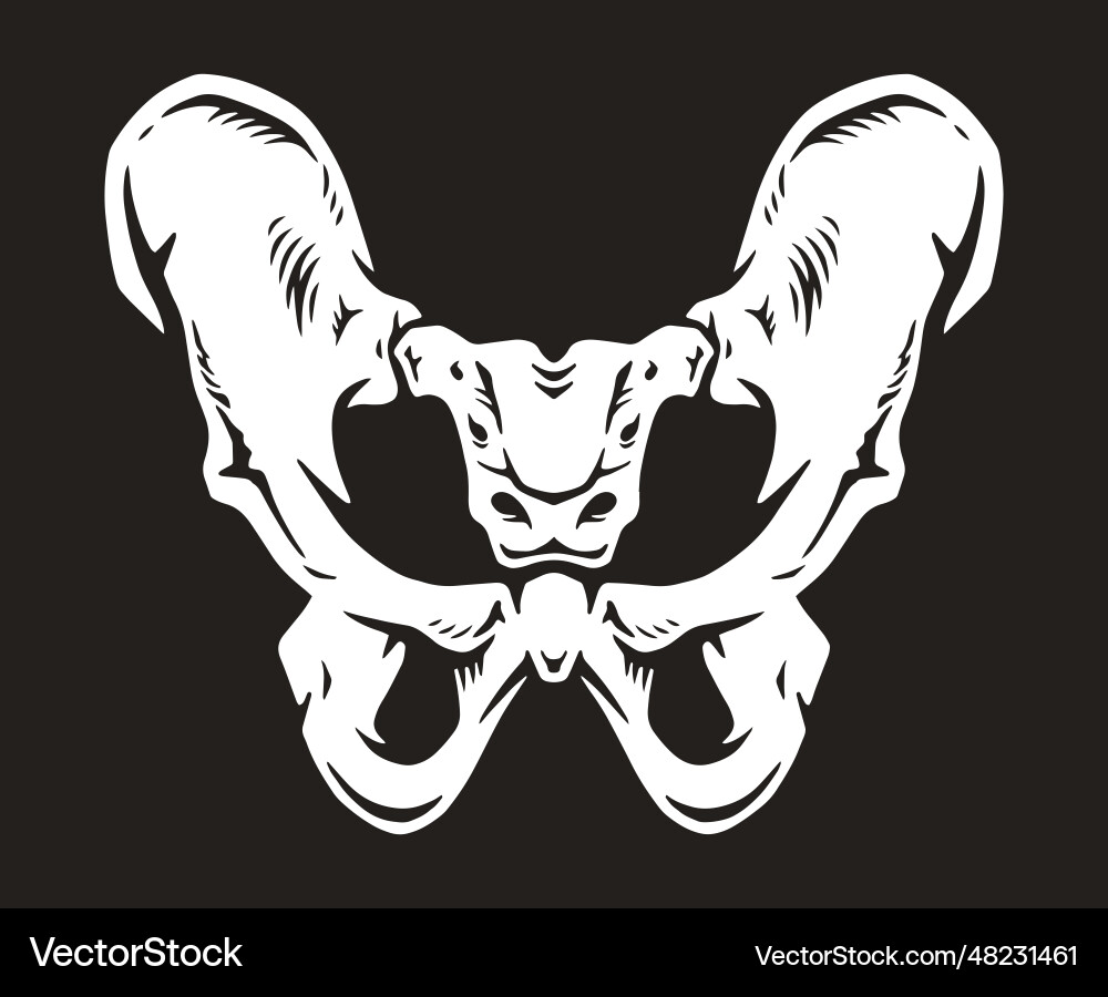 menschliche Beckenknochen Emblem monochrom Menschliche Beckenknochen Emblem monochrom vektorbild