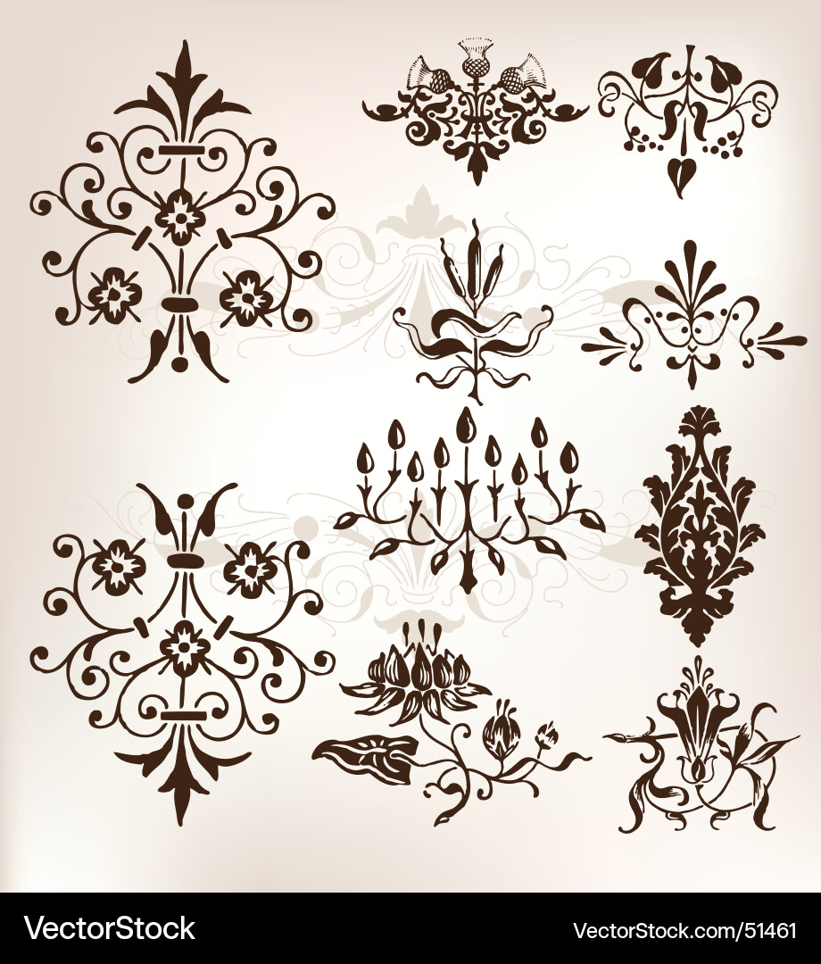 Vintage Paisley & Floral Motifs Vector Image