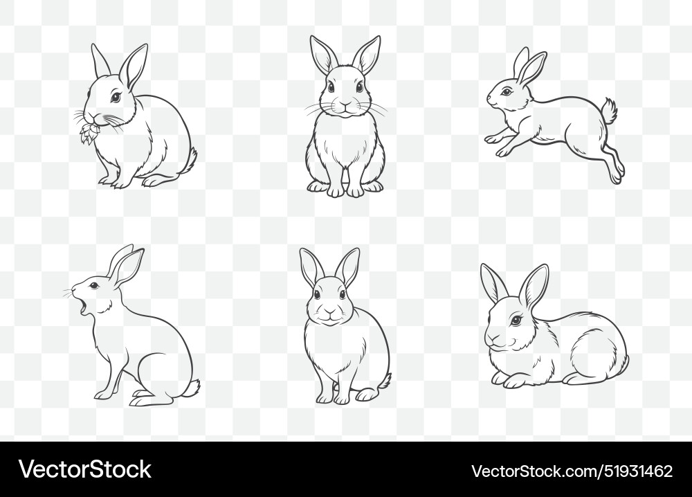 Print collection of rabbit line art Print collection of rabbit line art vector image