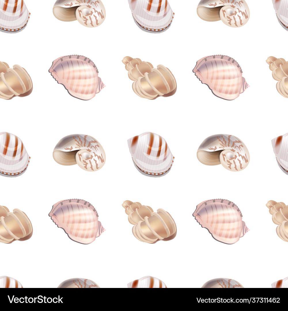 Seamless pattern with marine shells endless Seamless pattern with marine shells endless vector image