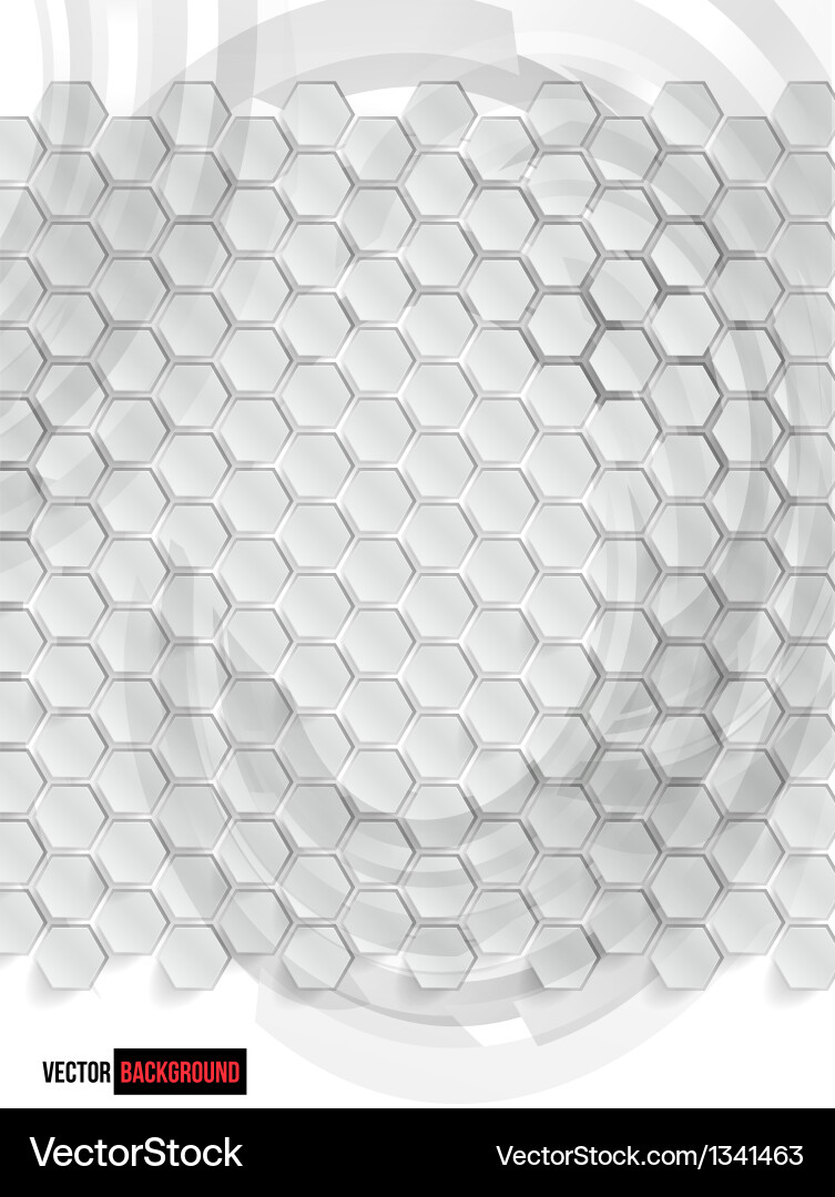 Abstract background hexagon web and design vector image