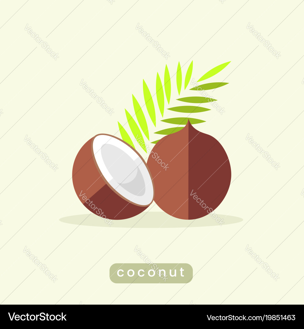 Coconut Palm Tree Royalty Free Vector Image Vectorstock