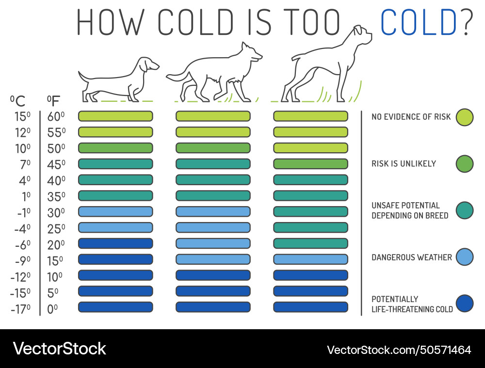 How cold is too the normal temperature Royalty Free Vector