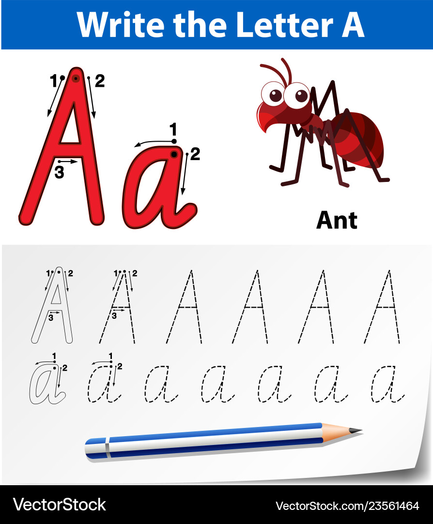Letter a tracing alphabet worksheets Letter a tracing alphabet worksheets vector image