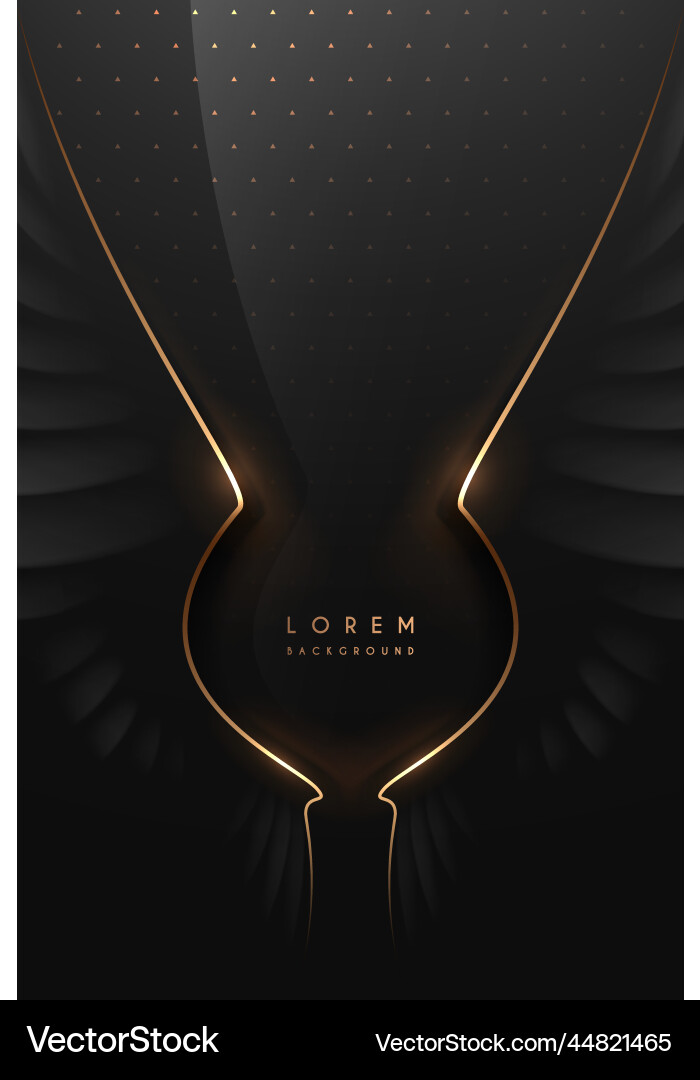 Abstract black wings with golden lines Vector Image