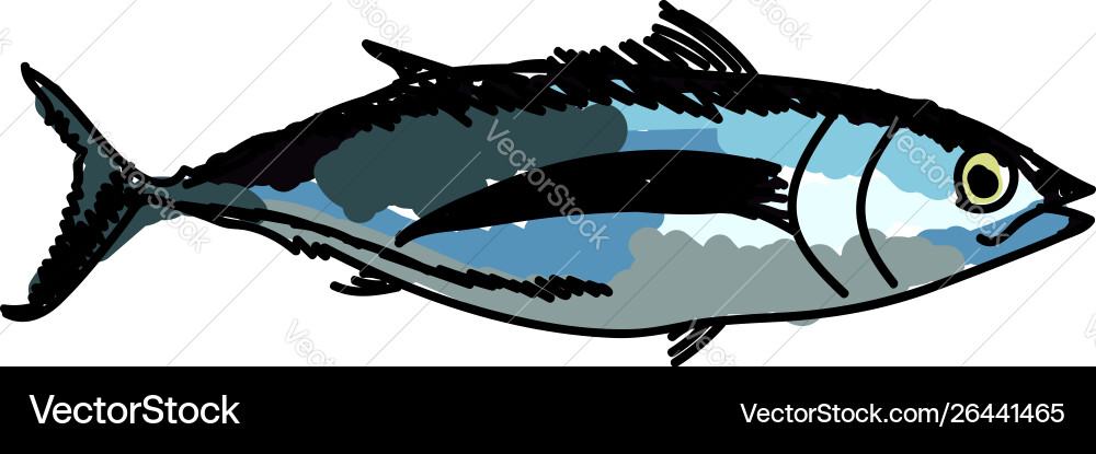 Albacore Fisch auf weißem Hintergrund Albacore Fisch auf weißem Hintergrund vektorbild