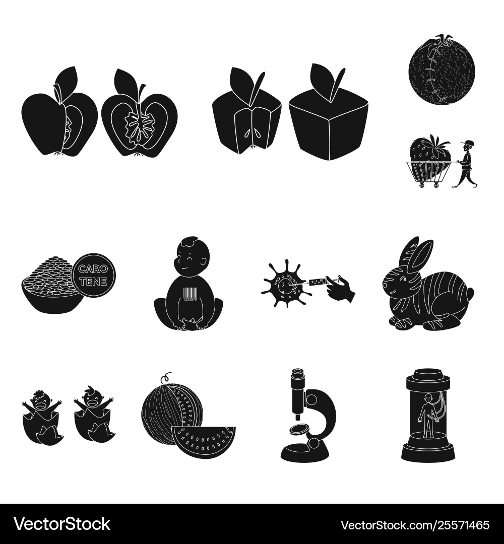 Isolated object quality and laboratory symbol Isolated object quality and laboratory symbol Vector Image