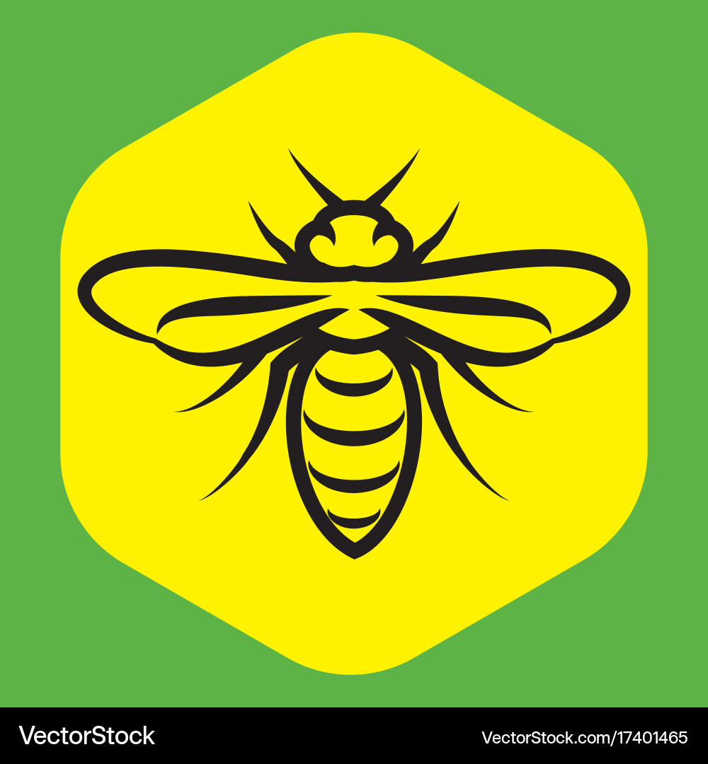 Linear pattern with a bee on the honeycomb vector image