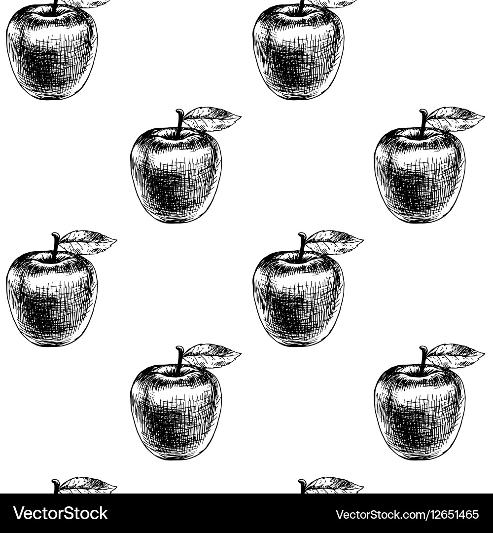 Seamless pattern with apples sketch vector image