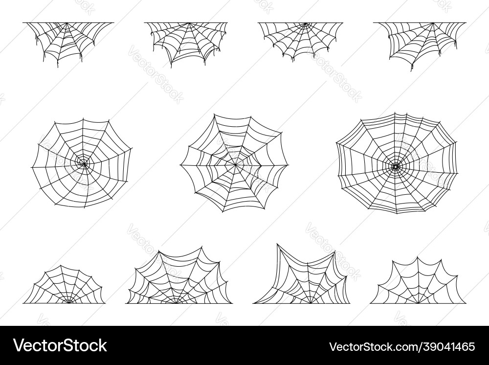Set of spider web symbols realistic spiderweb Set of spider web symbols realistic spiderweb Vector Image