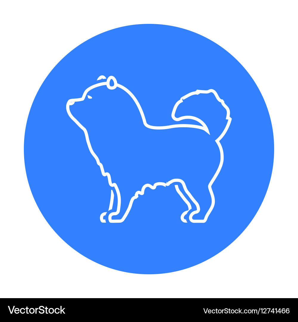 Chow-chow icon in black style for web Vector Image