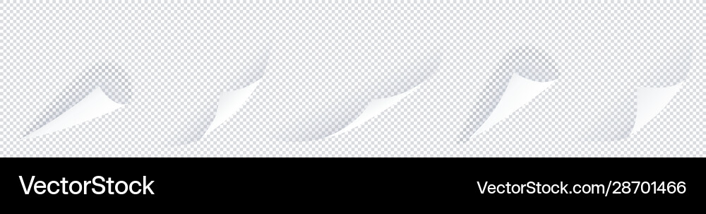 Curl corner set with shadows isolated Curl corner set with shadows isolated vector image