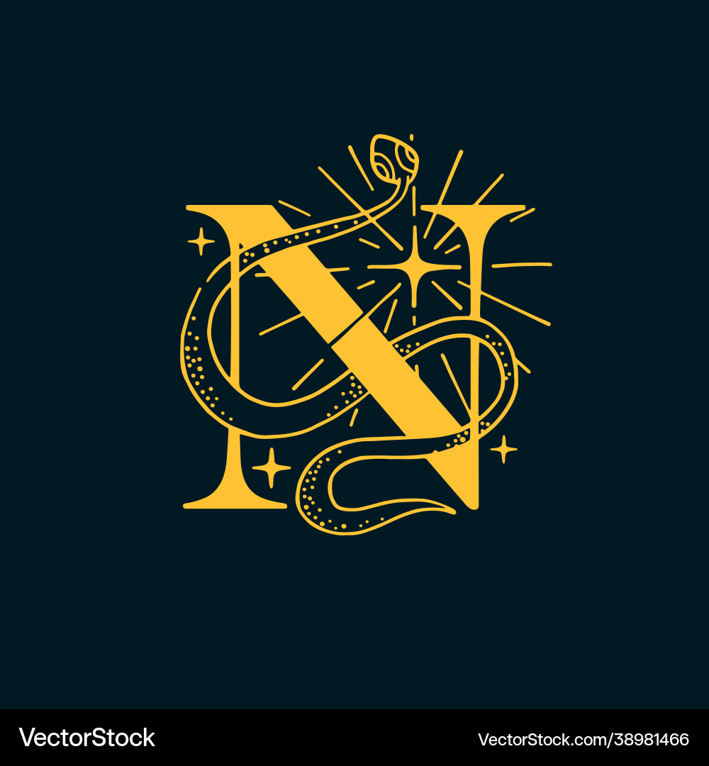 N letter logo in astrological style N letter logo in astrological style vector image