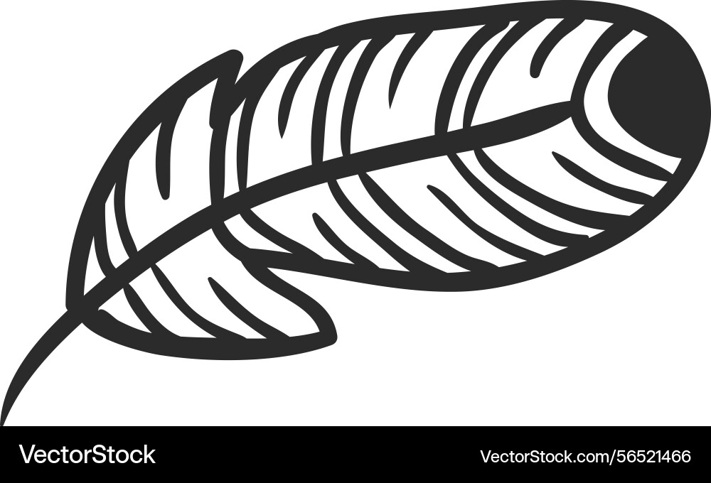 Single feather with lines and a spot at the tip Single feather with lines and a spot at the tip vector image