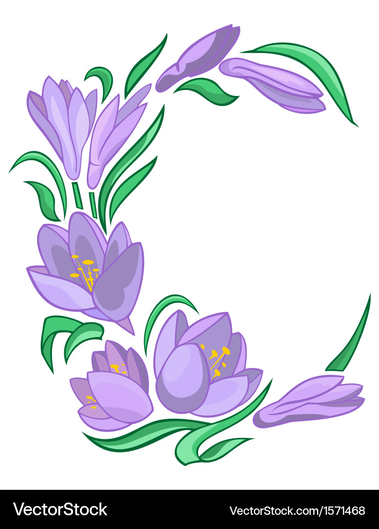 Frame from abstract crocuses Vector Image