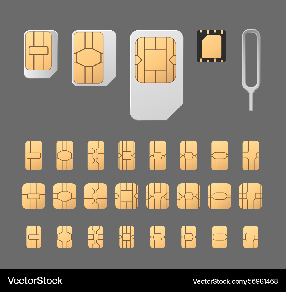 Sim card with microchips different sizes 3d Sim card with microchips different sizes 3d vector image