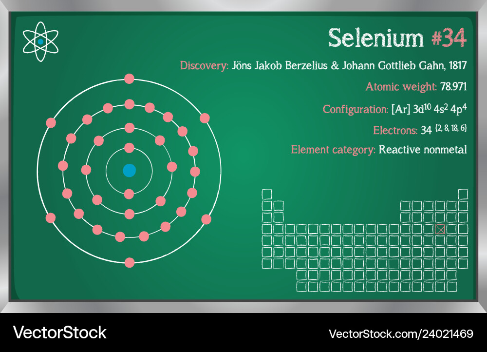 Infographic of the element selenium vector image