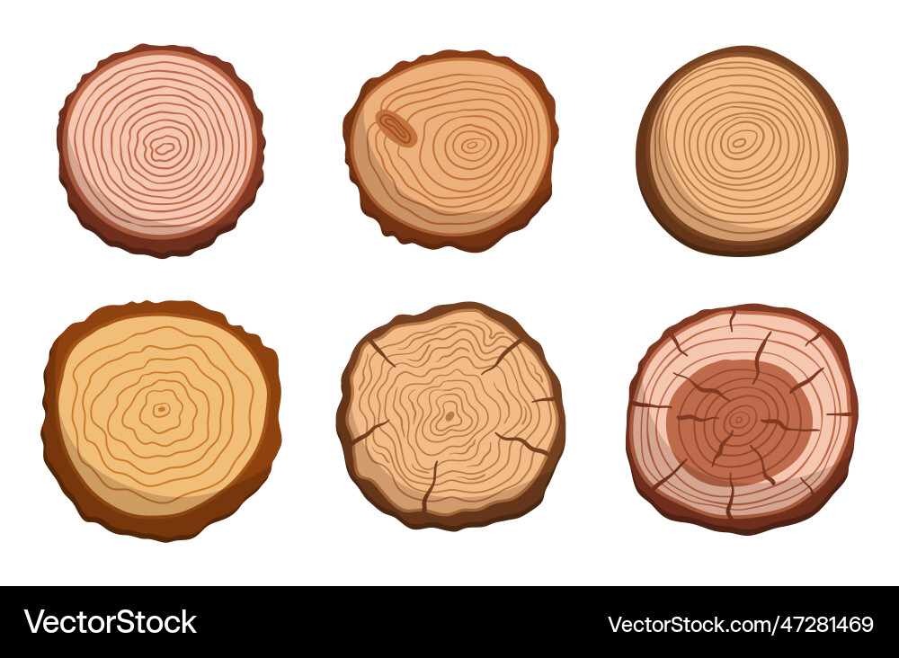 Set of tree trunk cross sections showcasing Set of tree trunk cross sections showcasing vector image
