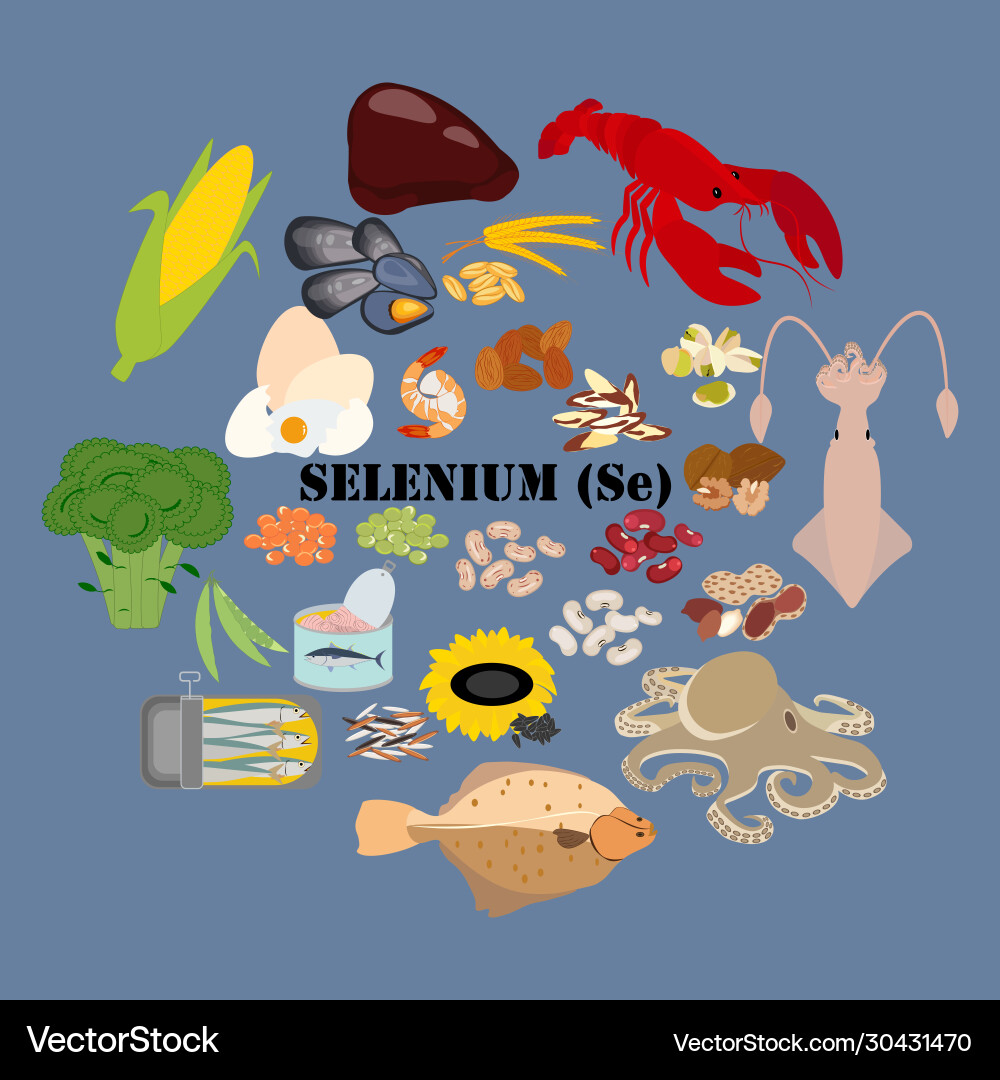 Selenium se microelement in food vector image