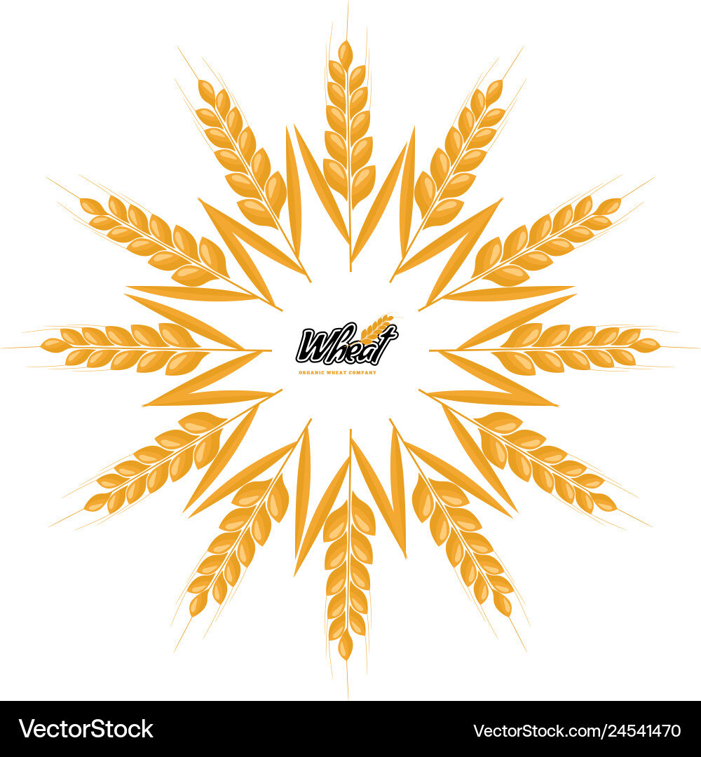 Wheat logo design with circle or round shape Wheat logo design with circle or round shape Vector Image
