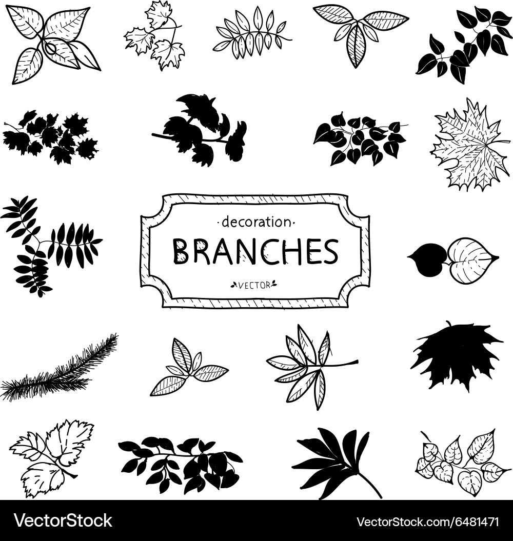 Branches of a tree Vector Image