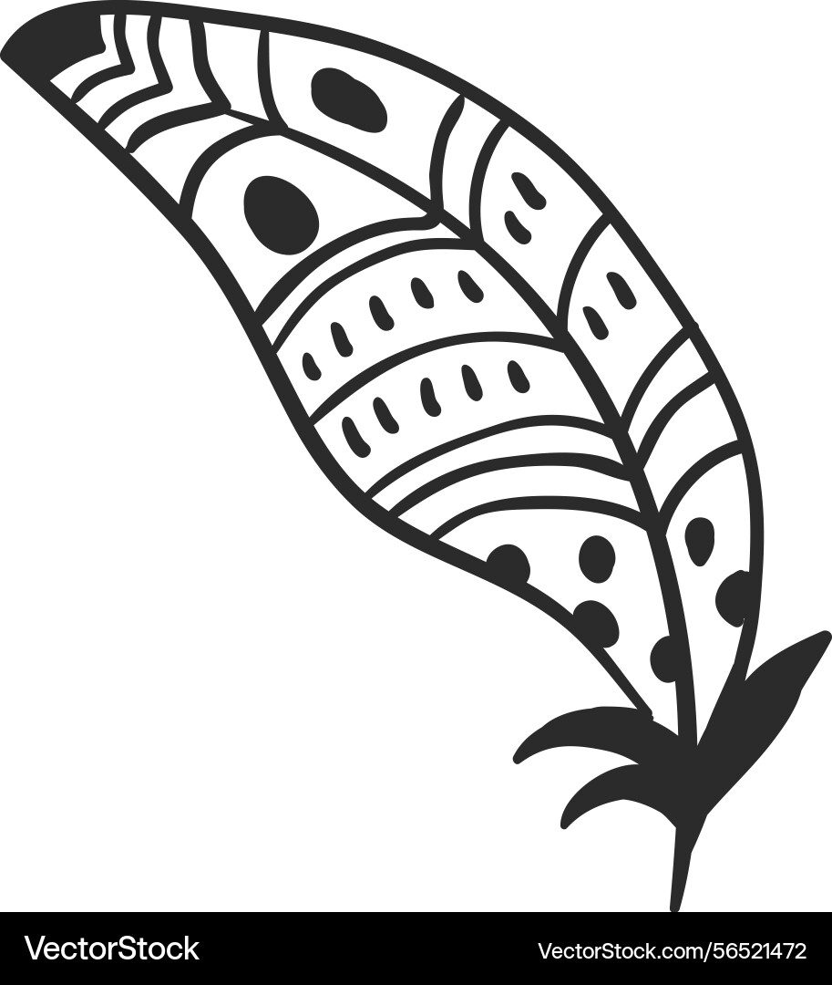 Hand drawn feather with intricate patterns Hand drawn feather with intricate patterns vector image