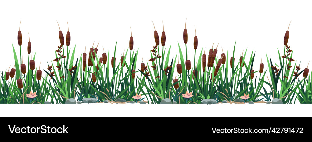 Swamp Reed Border Pattern vector image