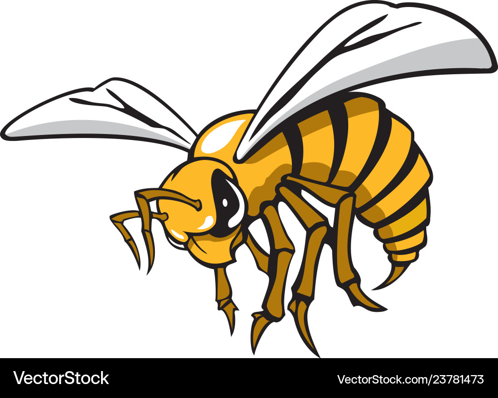 Hornet Mascot Logo vector image