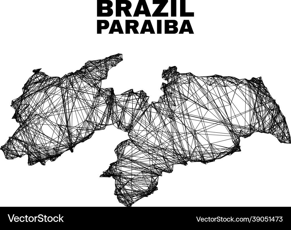 Net irregular mesh paraiba state map Net irregular mesh paraiba state map vector image