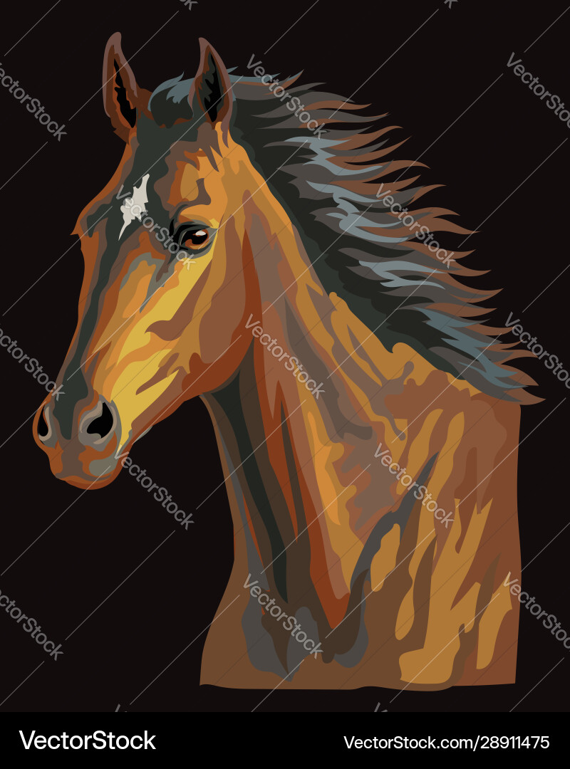 Colorful horse portrait 23 Colorful horse portrait 23 vector image