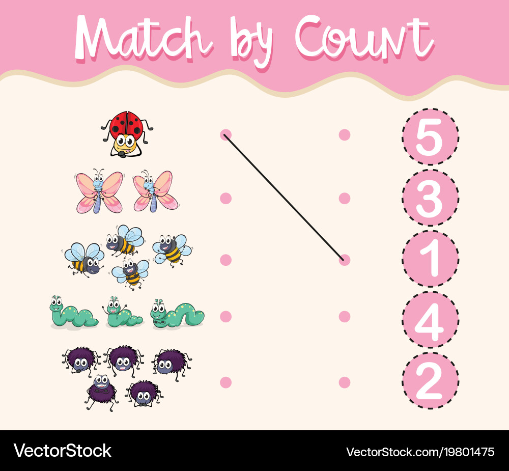Match by count with different types of insects vector image