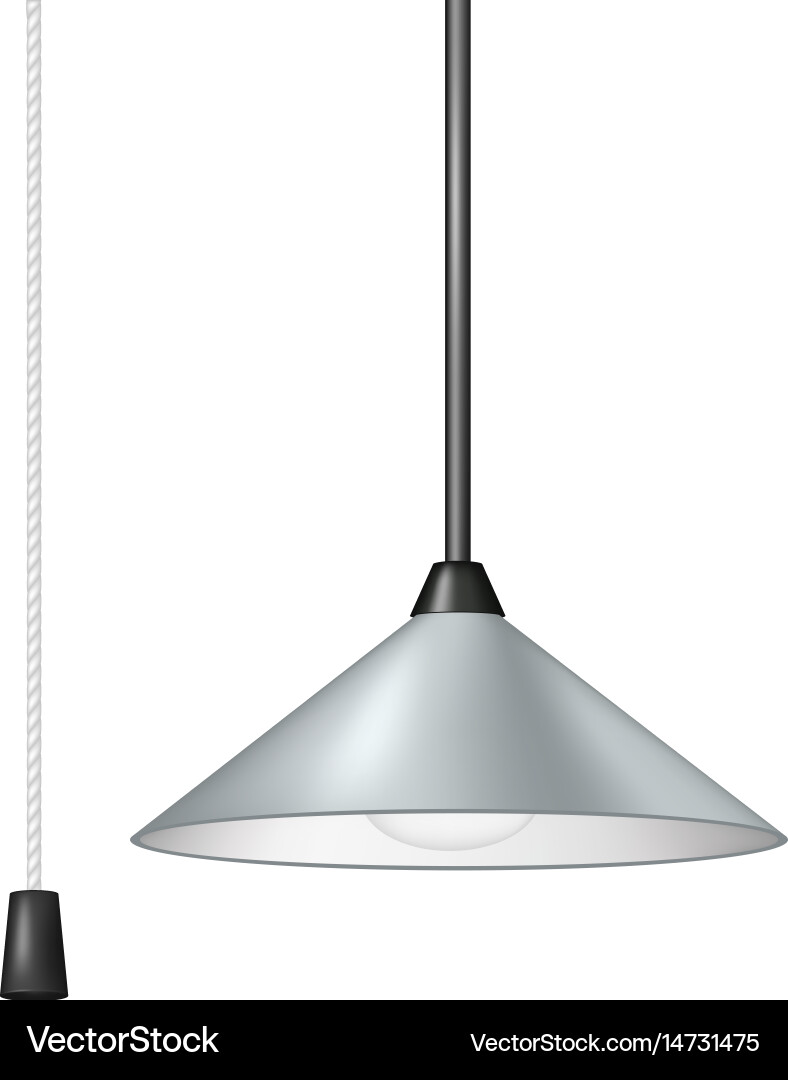 Retro Hanging Lamp with Cord Switch Vector Image