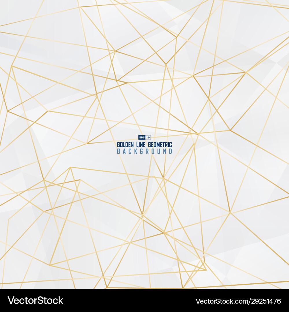 Abstract white polygonal geometric design artwork Abstract white polygonal geometric design artwork vector image