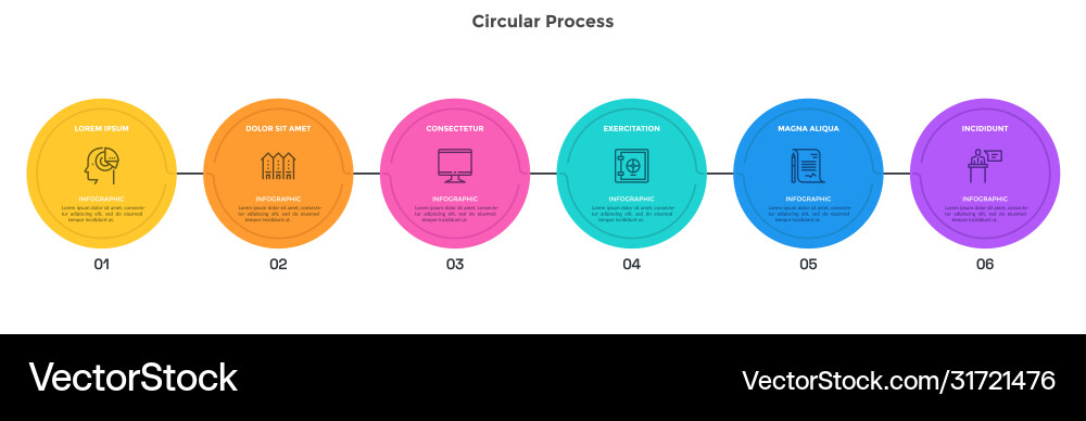 Modern infographic options banner Modern infographic options banner vector image