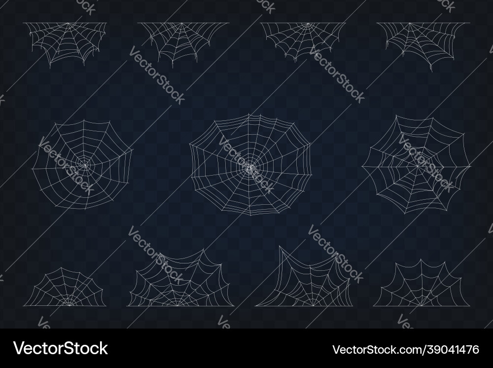 Set of spider web symbols realistic spiderweb Set of spider web symbols realistic spiderweb vector image