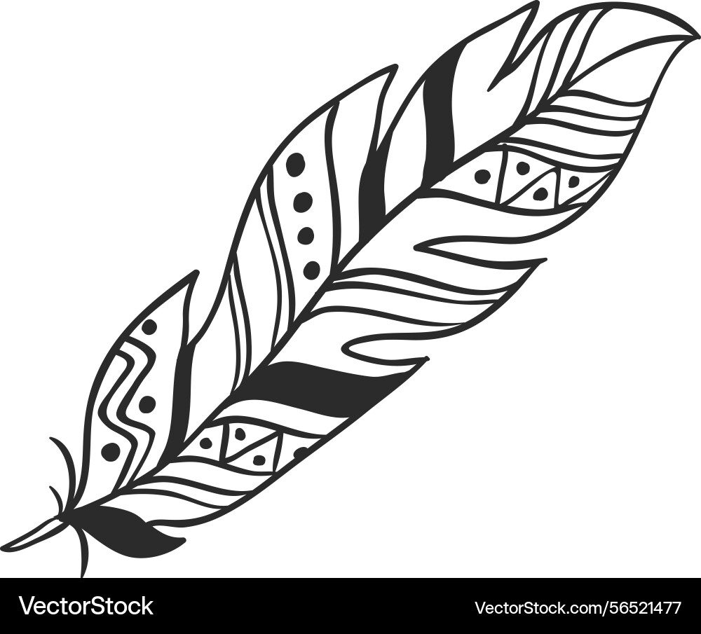 Hand drawn feather with intricate boho patterns Hand drawn feather with intricate boho patterns vector image