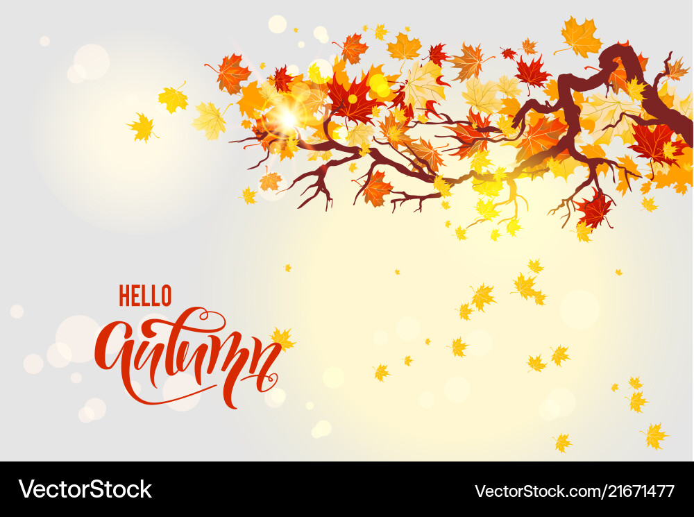 Maple autumn branch Maple autumn branch Vector Image