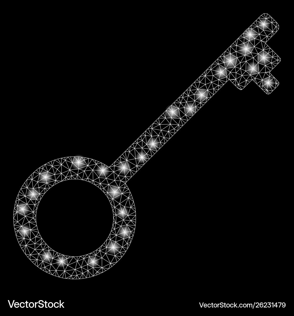 Flare mesh network key with spots Flare mesh network key with spots vector image